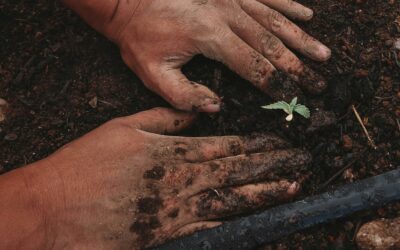 Hand Pain from Gardening? Here’s How to Prevent It This Spring